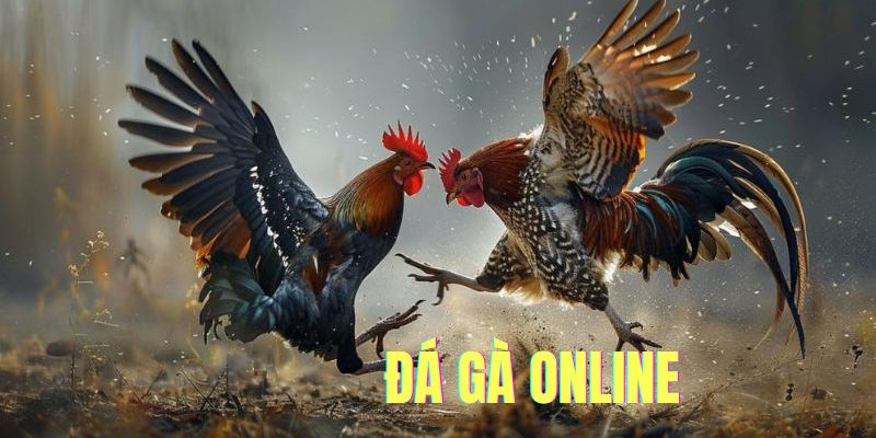 Đá Gà Online Giải Trí Đỉnh Cao Dẫn Đầu Xu Thế Đổi Thưởng